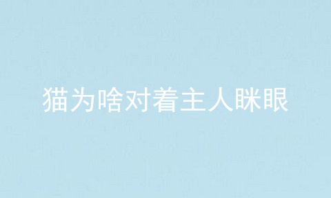 猫为啥对着主人眯眼