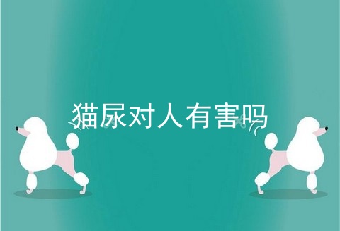 猫尿对人有害吗
