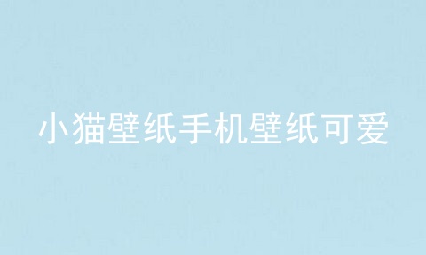 小猫壁纸手机壁纸可爱