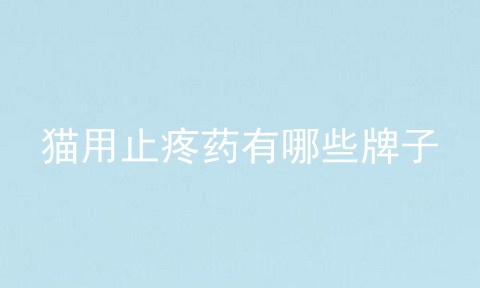 猫用止疼药有哪些牌子