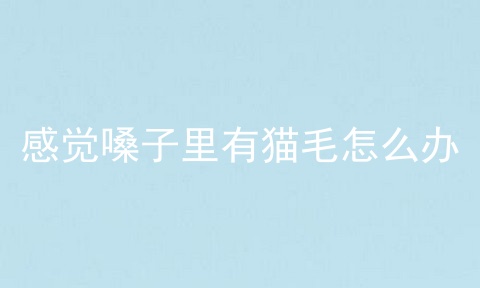 感觉嗓子里有猫毛怎么办