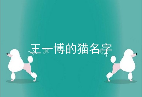 王一博的猫名字