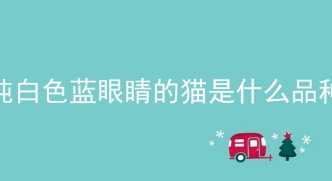 纯白色蓝眼睛的猫是什么品种