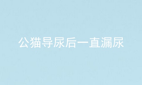 公猫导尿后一直漏尿