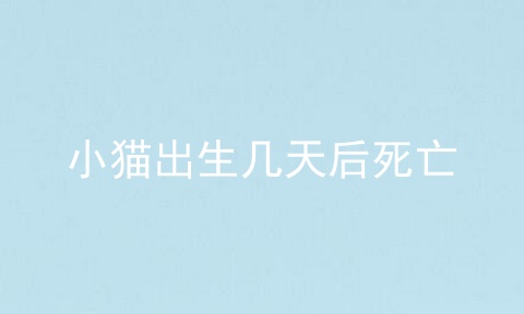 小猫出生几天后死亡