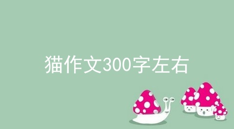 猫作文300字左右