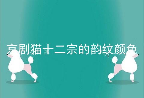 京剧猫十二宗的韵纹颜色