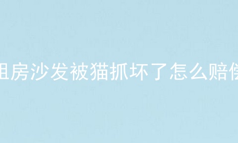 租房沙发被猫抓坏了怎么赔偿