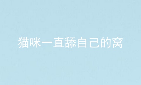 猫咪一直舔自己的窝