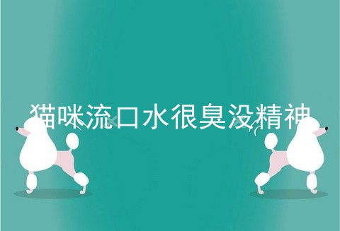 猫咪流口水很臭没精神