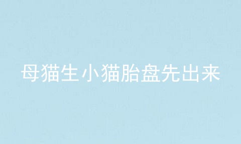 母猫生小猫胎盘先出来
