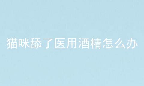 猫咪舔了医用酒精怎么办