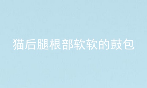 猫后腿根部软软的鼓包