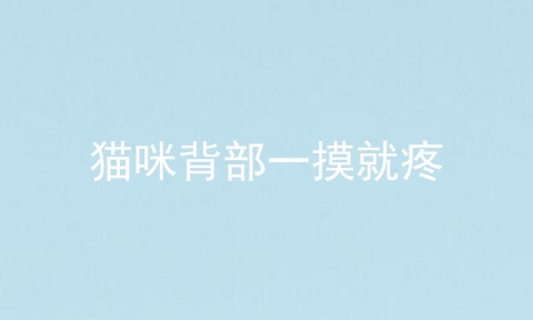 猫咪背部一摸就疼