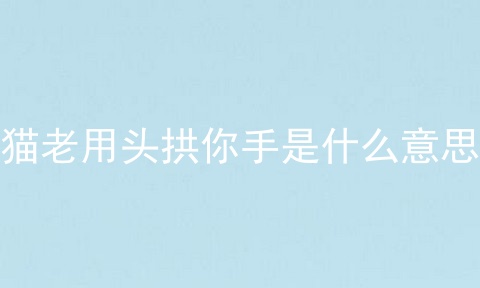 猫老用头拱你手是什么意思