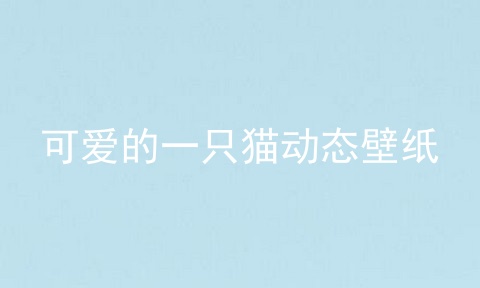 可爱的一只猫动态壁纸