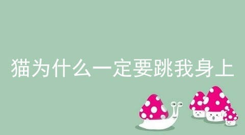 猫为什么一定要跳我身上