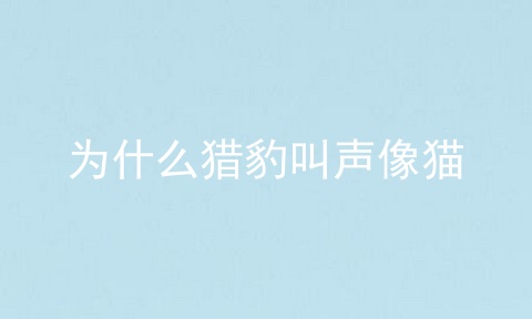 为什么猎豹叫声像猫
