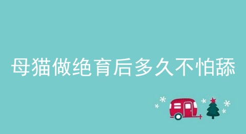 母猫做绝育后多久不怕舔