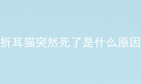 折耳猫突然死了是什么原因