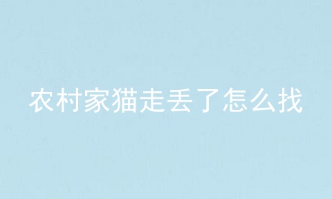 农村家猫走丢了怎么找