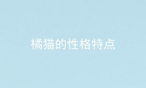 橘猫的性格特点