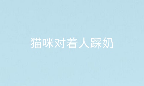 猫咪对着人踩奶