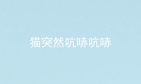 猫突然吭哧吭哧