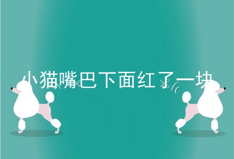 小猫嘴巴下面红了一块