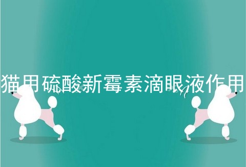 猫用硫酸新霉素滴眼液作用