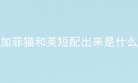 加菲猫和英短配出来是什么