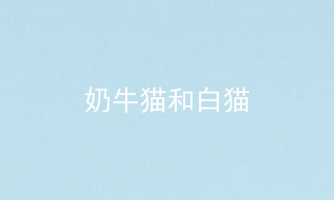 奶牛猫和白猫