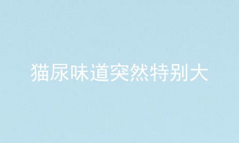猫尿味道突然特别大