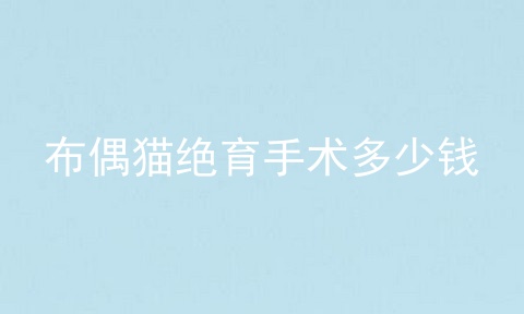 布偶猫绝育手术多少钱