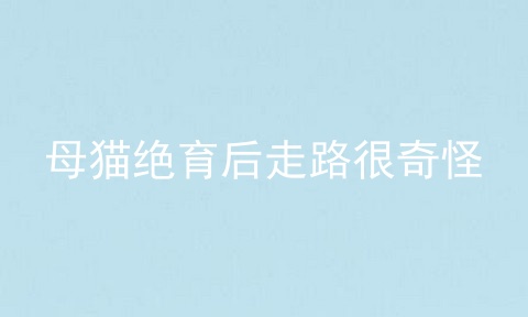 母猫绝育后走路很奇怪