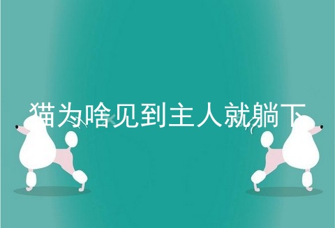 猫为啥见到主人就躺下