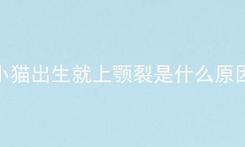 小猫出生就上颚裂是什么原因