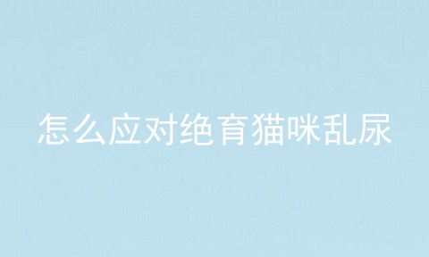 怎么应对绝育猫咪乱尿