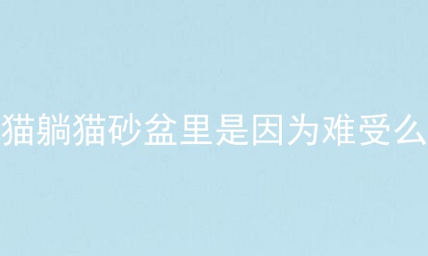 猫躺猫砂盆里是因为难受么