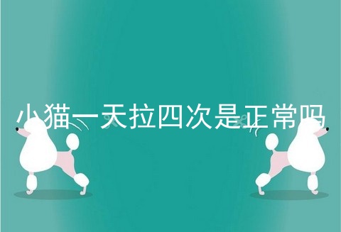 小猫一天拉四次是正常吗
