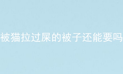 被猫拉过屎的被子还能要吗
