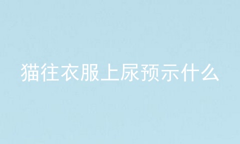 猫往衣服上尿预示什么