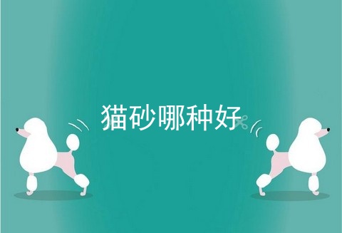 猫砂哪种好