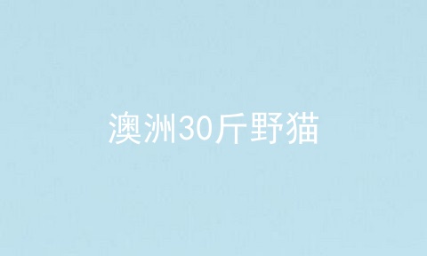 澳洲30斤野猫