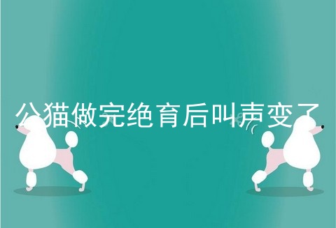公猫做完绝育后叫声变了