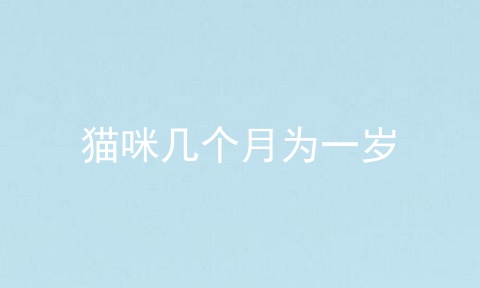猫咪几个月为一岁
