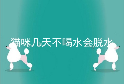 猫咪几天不喝水会脱水