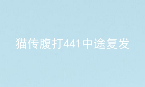 猫传腹打441中途复发