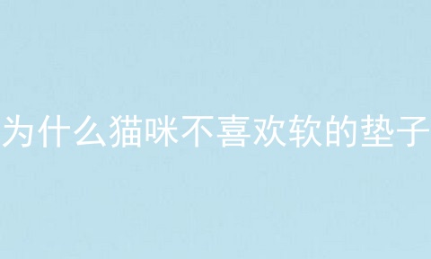 为什么猫咪不喜欢软的垫子
