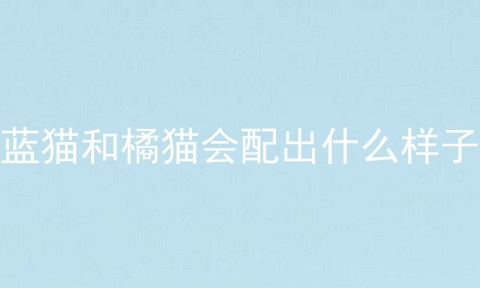 蓝猫和橘猫会配出什么样子